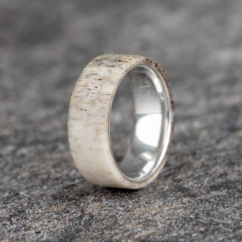 Polished Antler Ring with Polished Sterling Silver Core